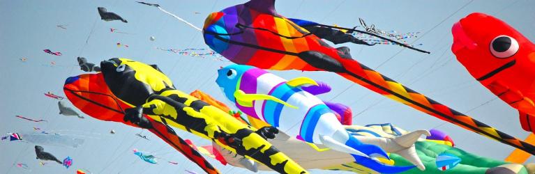 sporturhotel en 178-family-dettaglio-promozione-families-at-the-festival-of-kites-of-cervia 005
