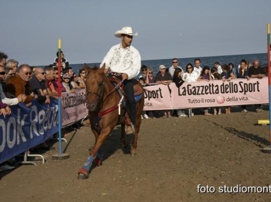Speciale hotel A Cavallo del Mare - 6a Rassegna del cavallo sulla spiaggia
