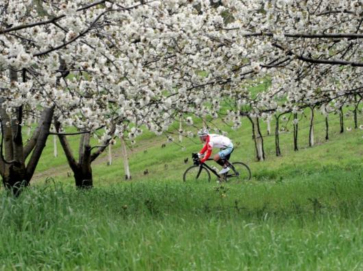 6° Sportur Bicycle Show e 15° Granfondo di ciclismo Selle Italia La Via del Sale 