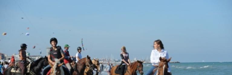 sporturhotel it 15-a-cavallo-del-mare-p381 004